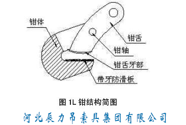 L鉗結(jié)構(gòu)簡圖見圖1